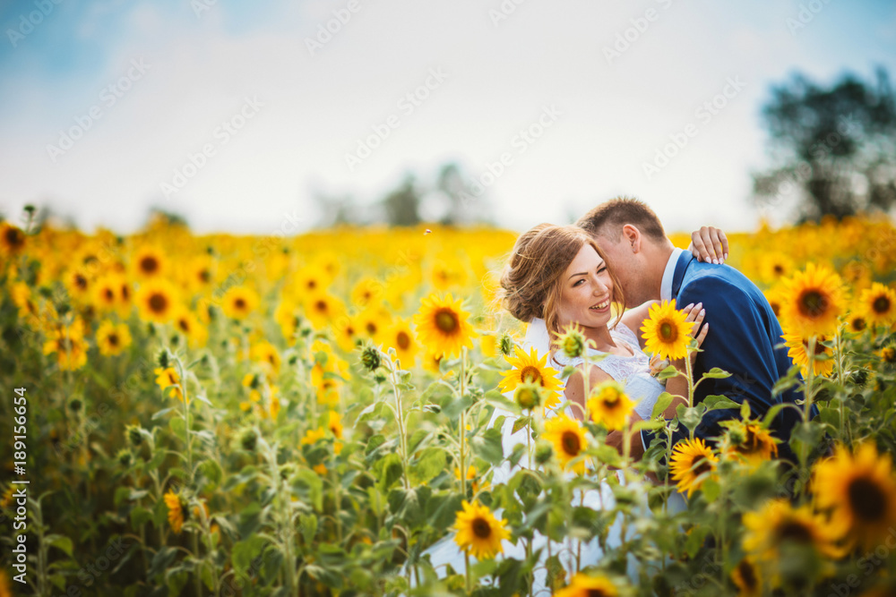 bride and groom against the background of a field of sunflowers bride and groom against the background of a field of sunflowers