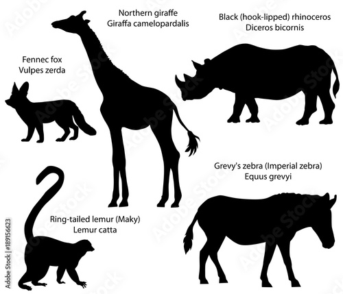 Billede på lærred Collection of silhouettes of animals living in the territory of Africa: northern