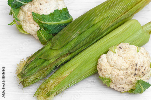 two green Corn Cob Husks and two cauliflower