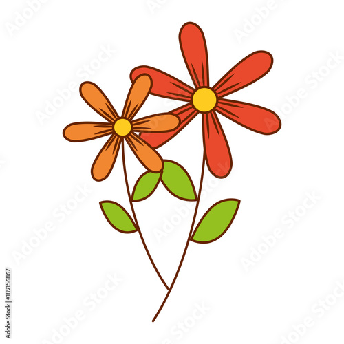 two flowers decorative spring image vector illustration