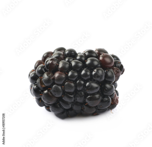 Single blackberry fruit isolated