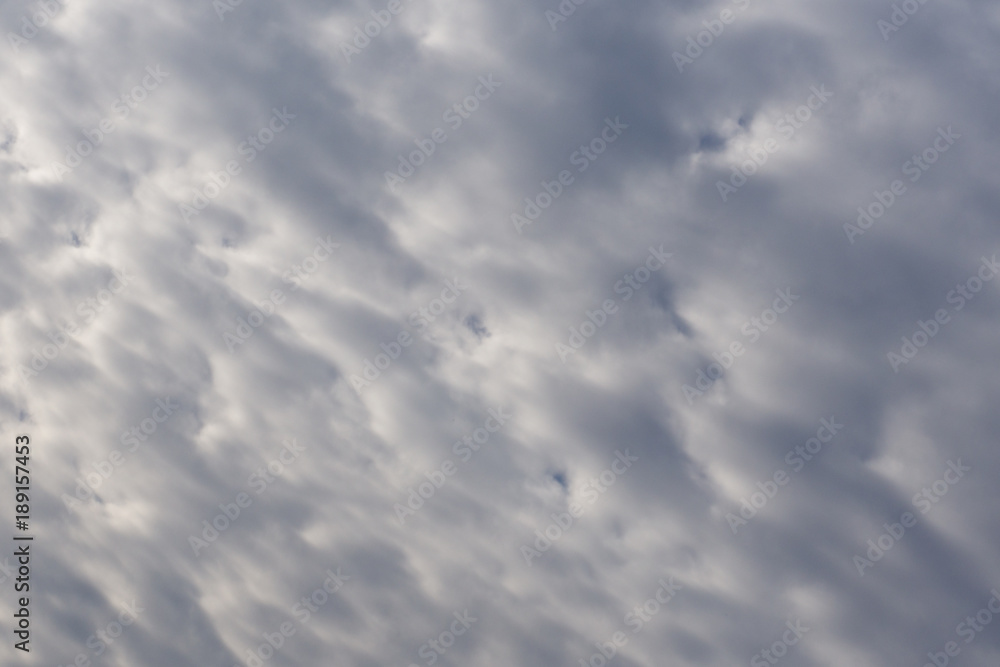 Fototapeta premium Lightnings in storm clouds. Peals of a thunder and the sparkling lightnings in clouds.