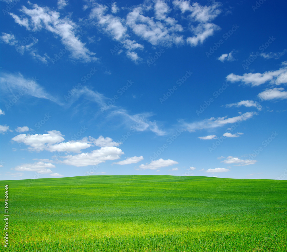  field and sky