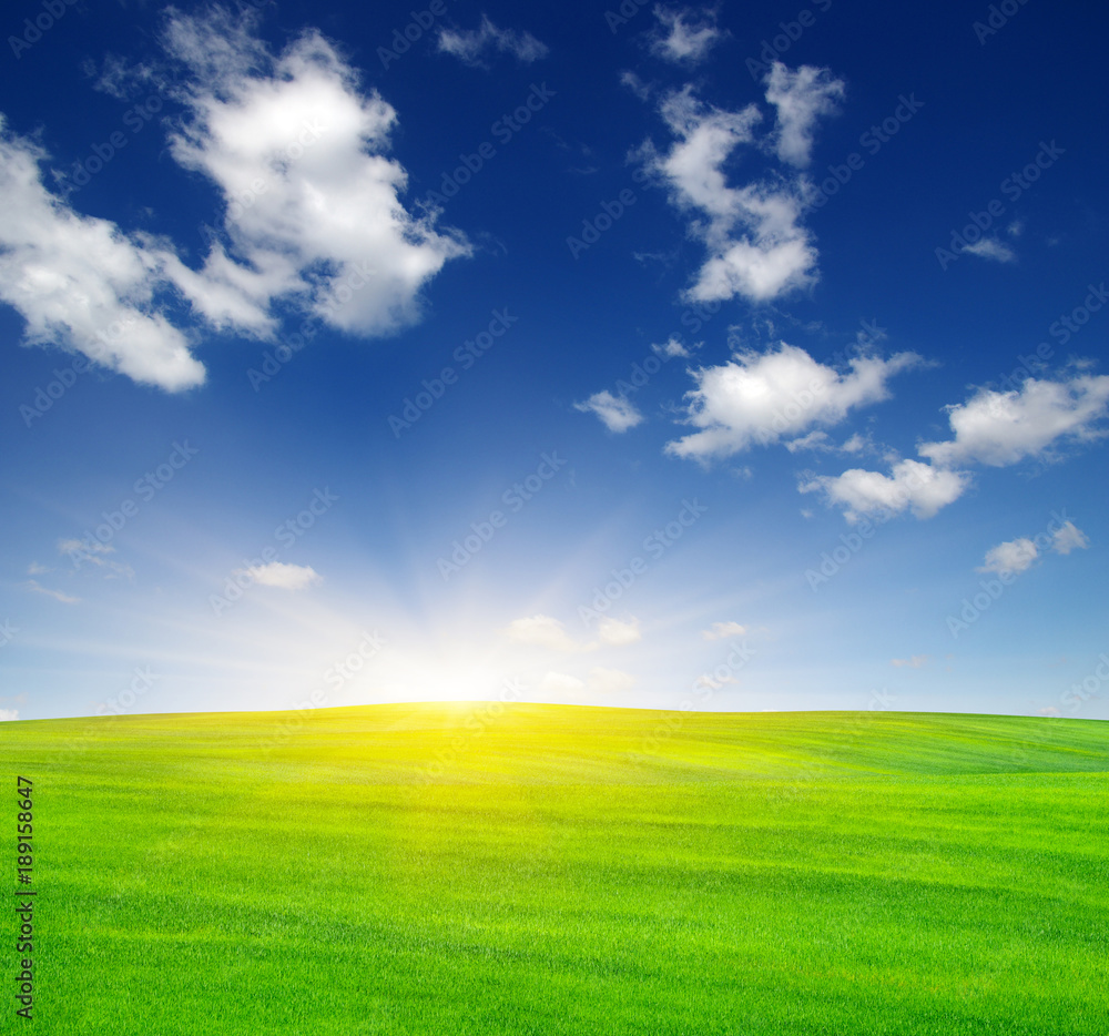 Green field and sun.