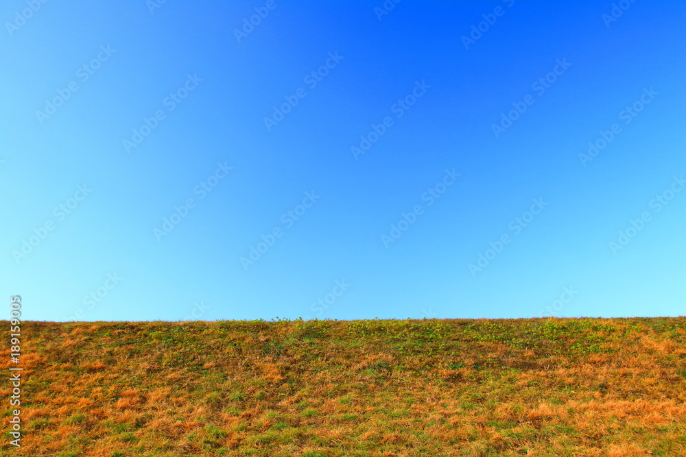Clear blue sky and meadow in early spring