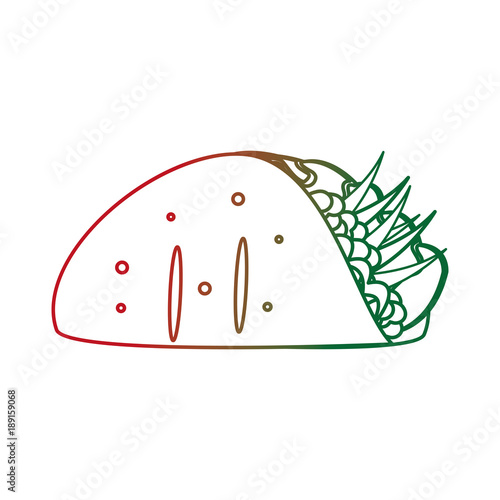 Isolated burrito design