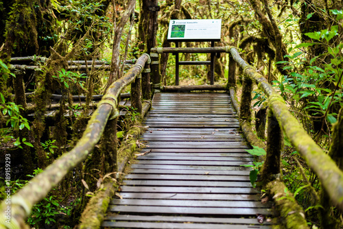 Sign No. 3 in Ang Ka Luang Nature Trail © nipastock