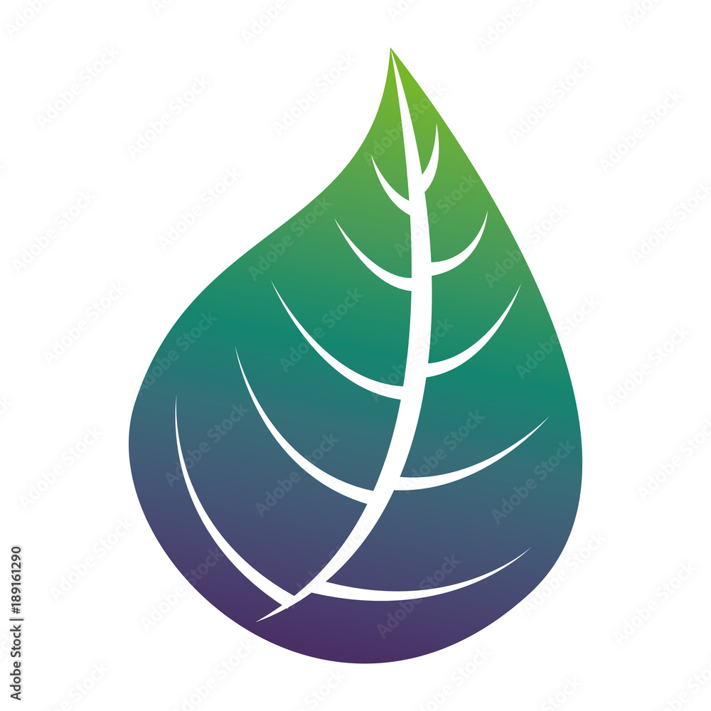 green leaf nature foliage botanical vector illustration green leaf nature foliage botanical vector illustration
