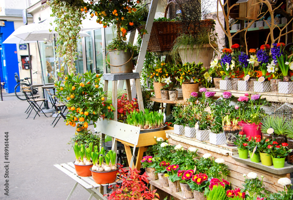 Outdoor flower shop on Parisian street. Cafe tables and bicycle at background. Paris, France.