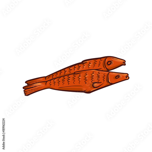 Two smoked, salted fish, herrings, mackerels, sketch style hand-drawn vector illustration isolated on white background. Hand drawing of two smoked, salted fish, food to accompany beer drinks