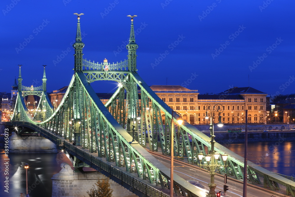 Obraz premium liberty bridge of Budapest, Hungary
