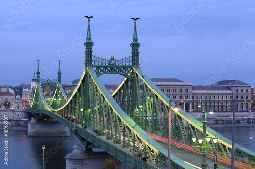 liberty bridge of Budapest, Hungary