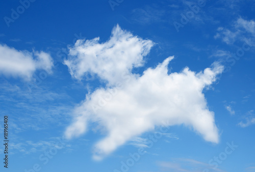 blue sky background with white Cloud look like a annimal