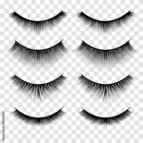 Set of Lashes Illustration