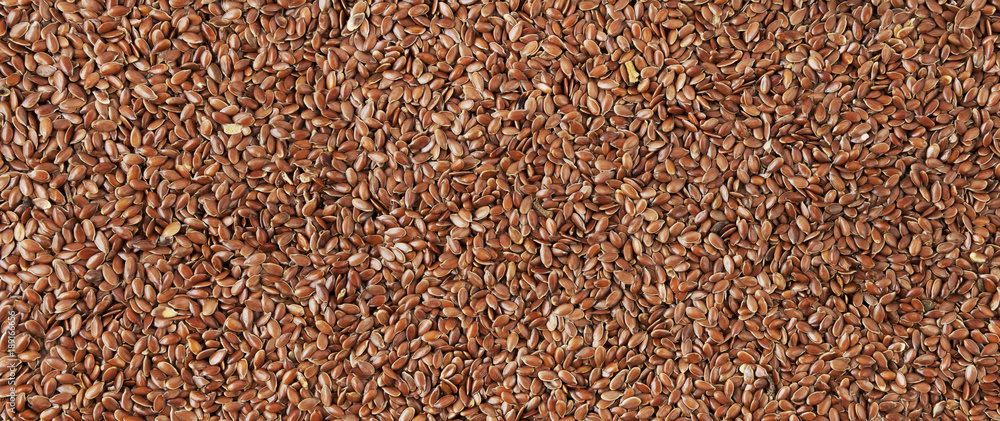 Flax grain panorama. Flax grain panorama.