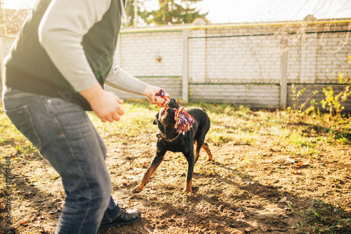 Cynologist works with service dog outside © Nomad_Soul