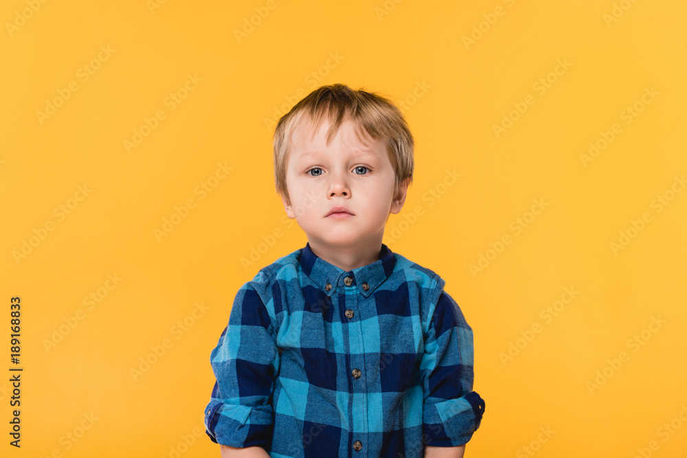 portrait of little boy in shirt looking at camera isolated on yellow portrait of little boy in shirt looking at camera isolated on yellow