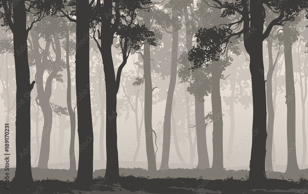 Obraz premium Seamless background horizontal. Silhouette of the deciduous forest, vector illustration