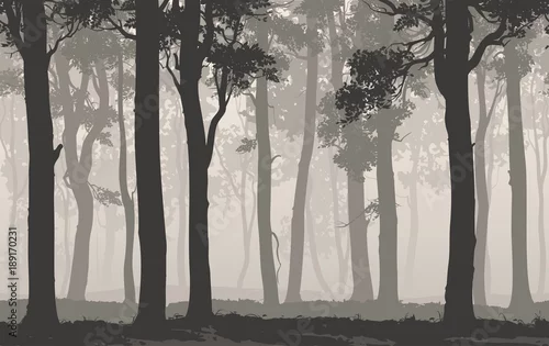 Panel kuchenny z motywem Seamless background horizontal. Silhouette of the deciduous forest, vector illustration