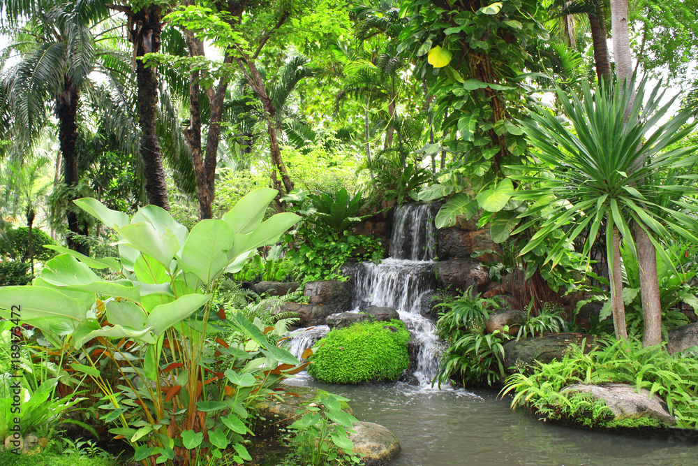 Waterfall in tropical garden - obrazy, fototapety, plakaty 