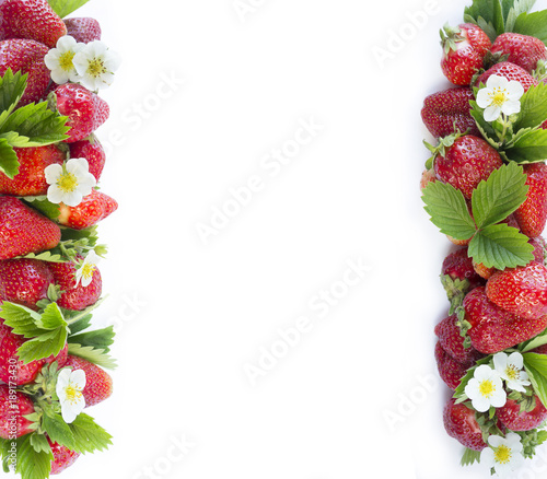 Ripe strawberries isolated on a white. Strawberries at border of image with copy space for text. Top view. Various fresh summer fruits on white background. Strawberries with leaves and flowers.