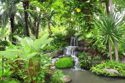 Waterfall in tropical garden