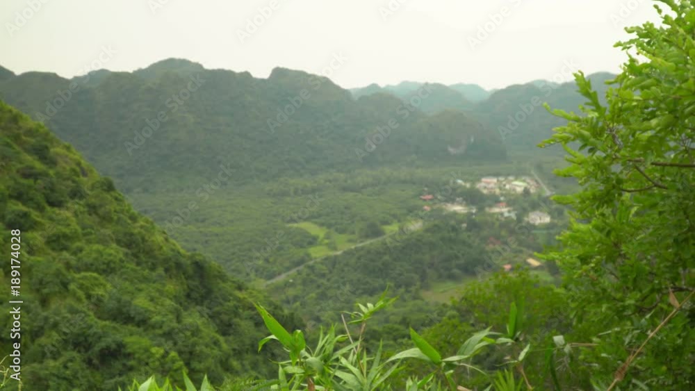 The nature in Vietnam. he Green Mountains. Open spaces in Vietnam. National park on the island. Green jungle. Vietnam.. The nature in Vietnam. he Green Mountains. Open spaces in Vietnam. National park on the island. Green jungle. Vietnam..
