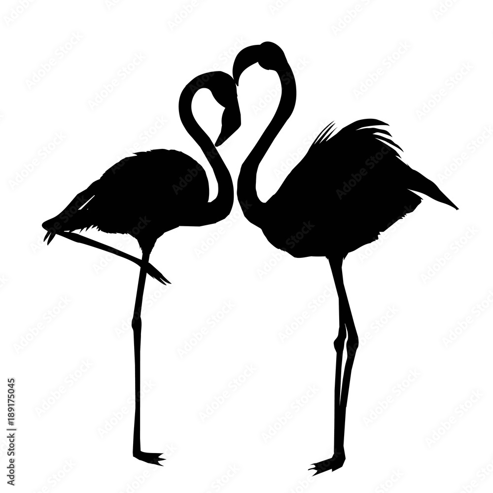 pink, african, beak, beauty, leg, wildlife, beach, cartoon, couple, elegance, foot, happiness, holidaycard, love, natural, neck, plumage, romance, summer, tropic, valentine, fauna, graphic, logotype