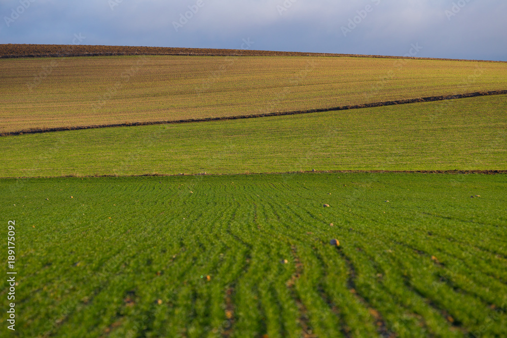 Layers of a Farm Field, Avila, Spain. Layers of a Farm Field, Avila, Spain.