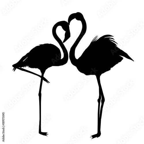 pink, african, beak, beauty, leg, wildlife, beach, cartoon, couple, elegance, foot, happiness, holidaycard, love, natural, neck, plumage, romance, summer, tropic, valentine, fauna, graphic, logotype