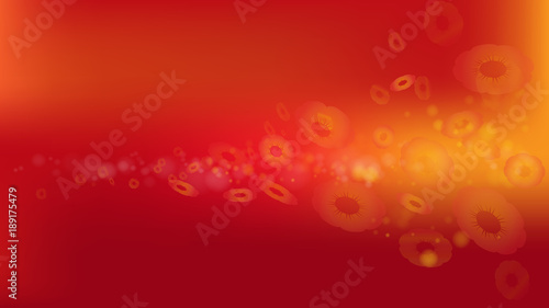The  Chinese  New year celebration festival  Abstract  Background.