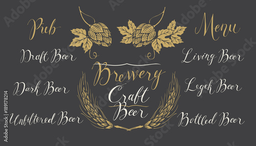 Vector set of handwritten inscriptions and design elements on the theme of beer and brewery on black background. Drawings with chalk on blackboard in retro style