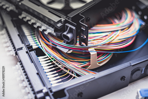 Canvastavla Fibre optic cables on patch distribution panel