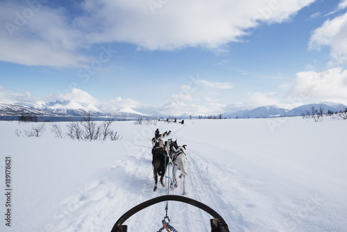 Traumhafte Hundeschlittenfahrt mit husky schlittenhunden in märchenhafter winterwelt in Norwegen