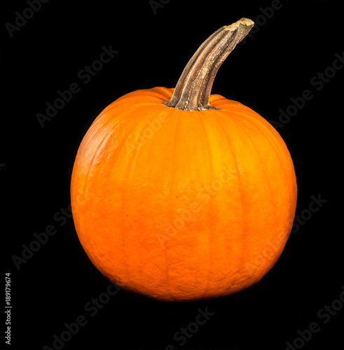 Big orange pumpkin and black background
