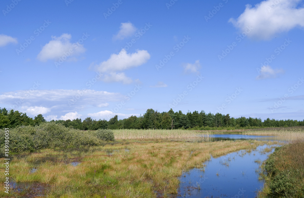 Laesoe / Denmark: View over Kaerene moorland with Birkemose moor lake