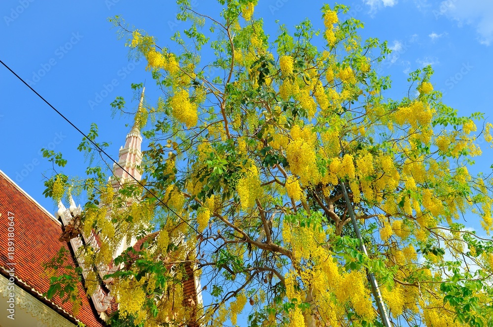 Cambodia, Phnom Penh