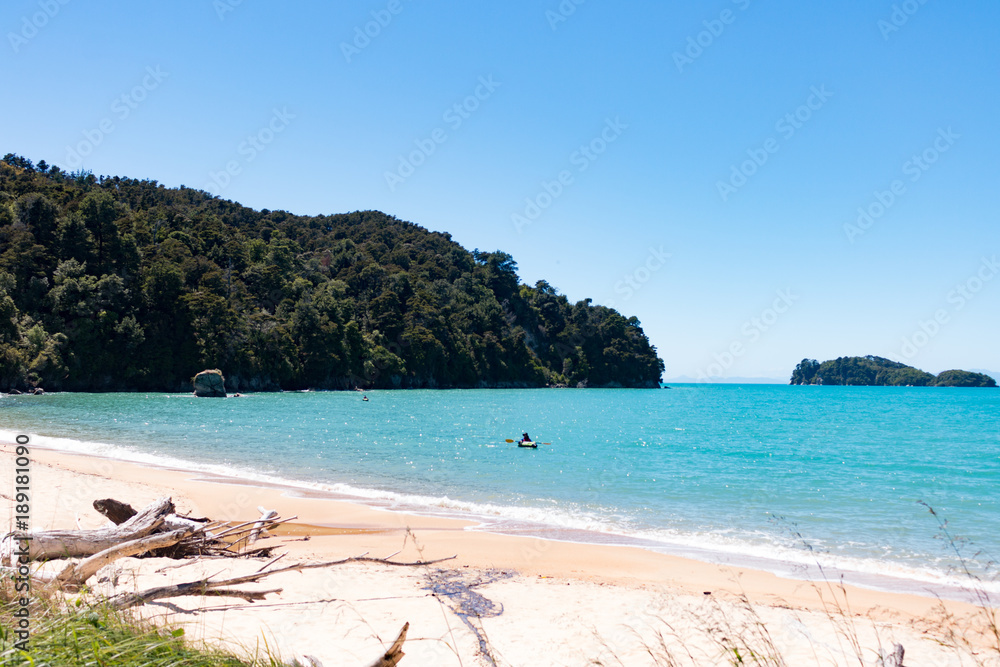 Fototapeta premium New Zealand Abel Tasman National park landscape beach