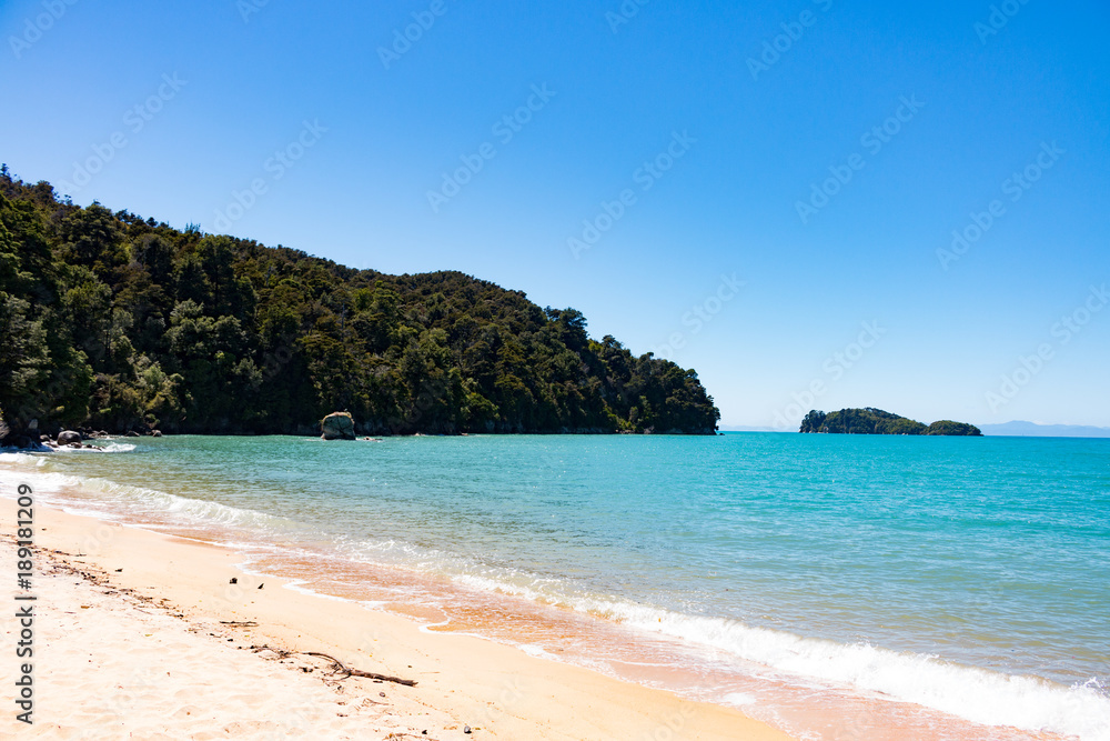 New Zealand Abel Tasman National park landscape beach New Zealand Abel Tasman National park landscape beach