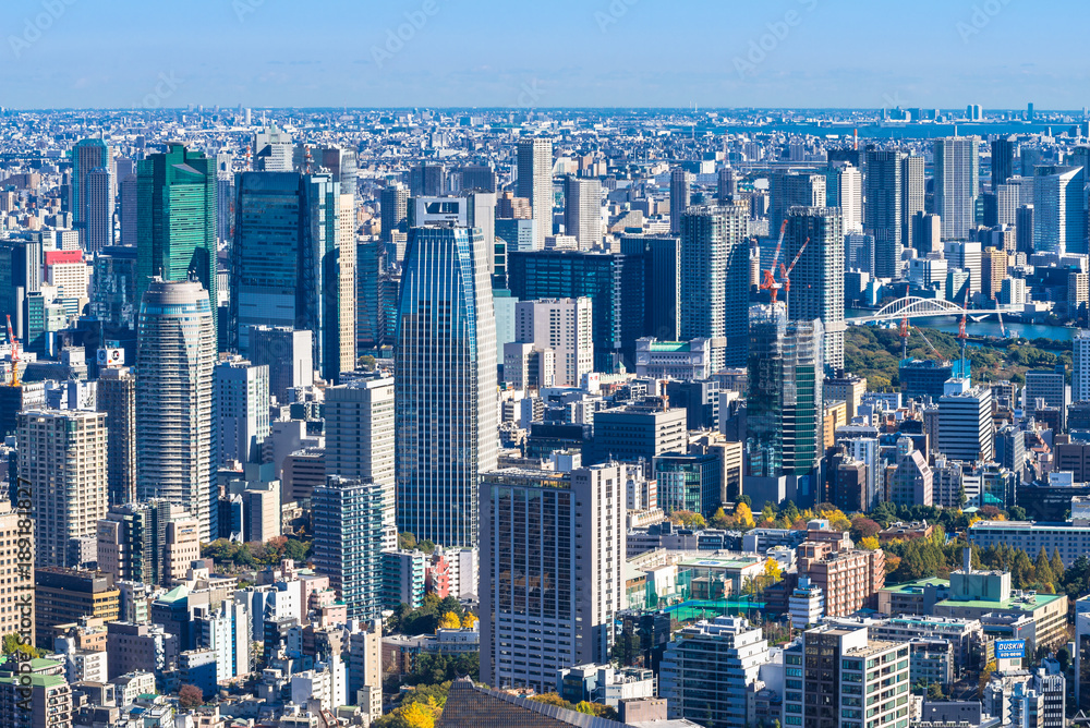 Obraz premium 東京 都市風景