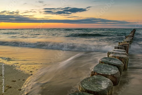 Obraz Osłony na Morzu Bałtyckim w pobliżu Zingst