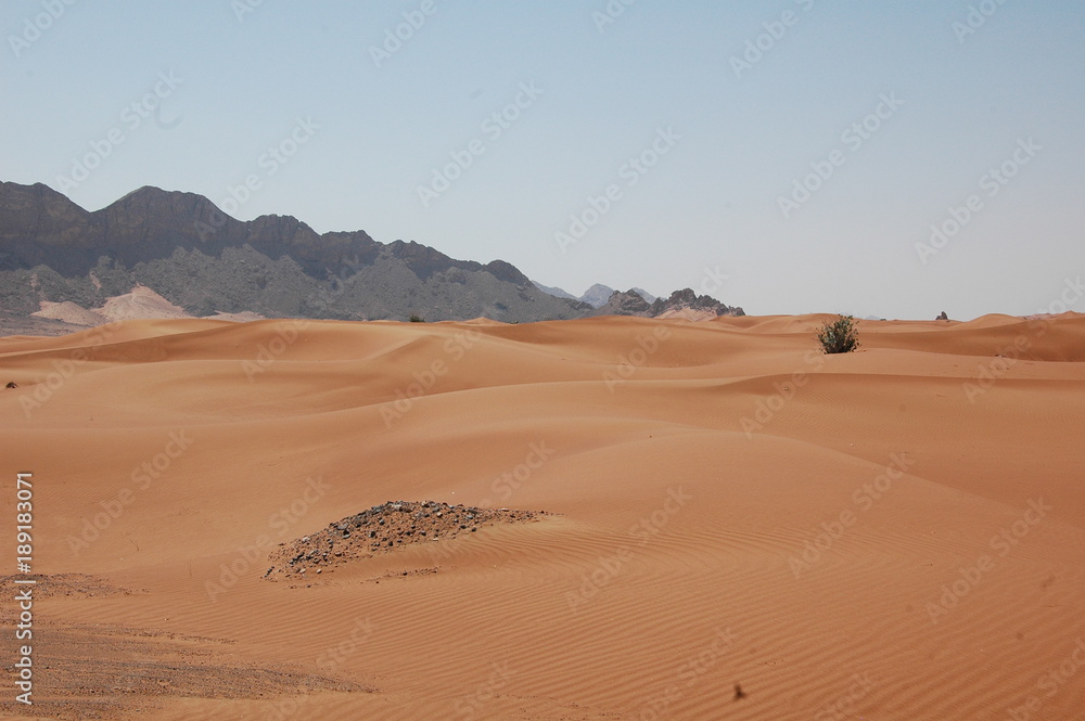 Emirate3 Wüste