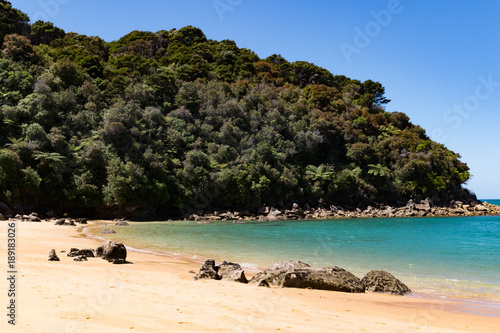 Fototapeta Naklejka Na Ścianę i Meble -  New Zealand Abel Tasman National park bay landscape with clear water on the beach