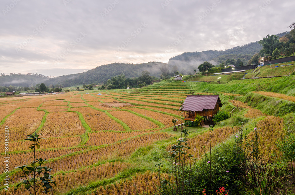 rice terrace after harvest at the northern of Thailand rice terrace after harvest at the northern of Thailand