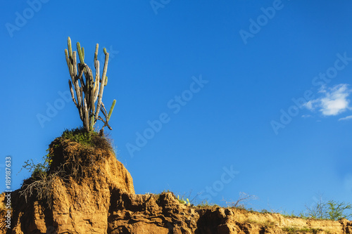 Desierto de La Tatacoa en Colombia. photo