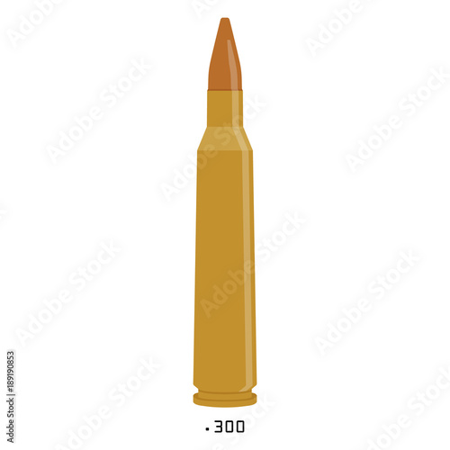 Bullet 300 caliber