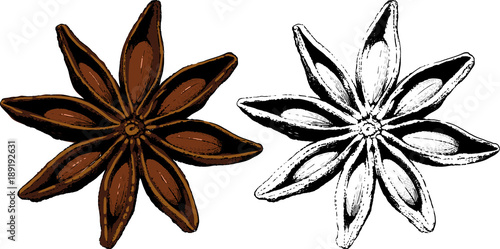 ripe fruit spice star anise and black color isolated on white background