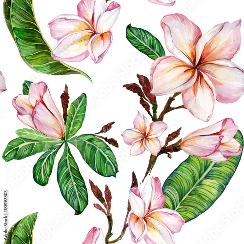 Pink plumeria flower on a twig. Seamless floral pattern. Isolated on white background. Watercolor painting. Hand drawn illustration.