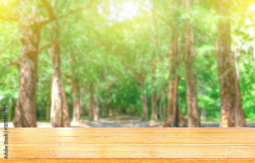 fresh tree green nature blurred background