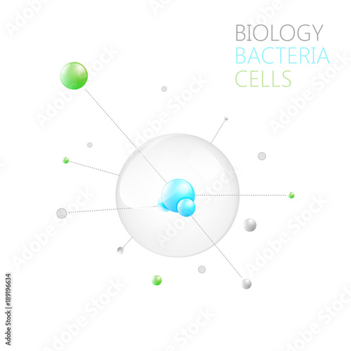 Biology Bacteria Cells